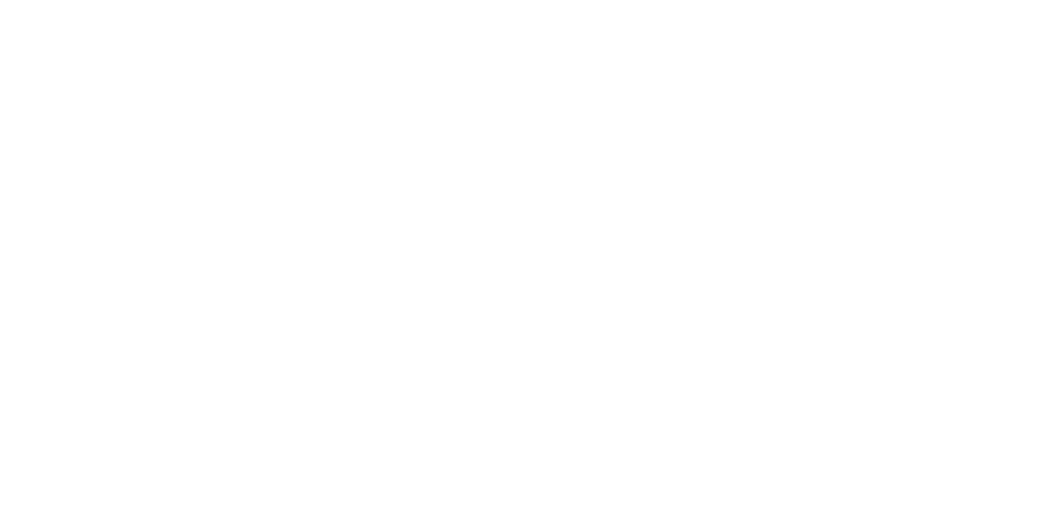 ICON International